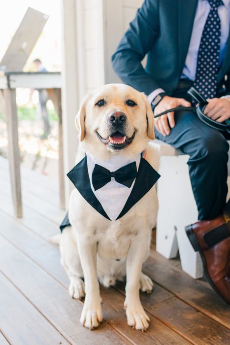 Sam + Gabe at The Chapel at Gruene — photo 12
